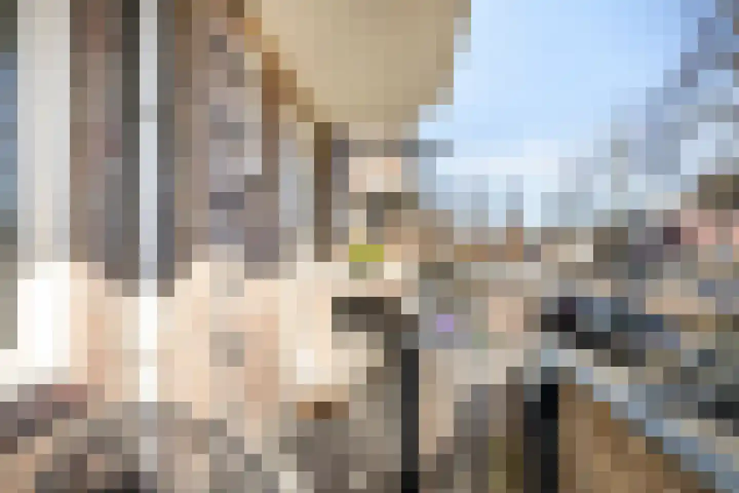 Karel de Grotelaan 227 Eindhoven thumbnail 24