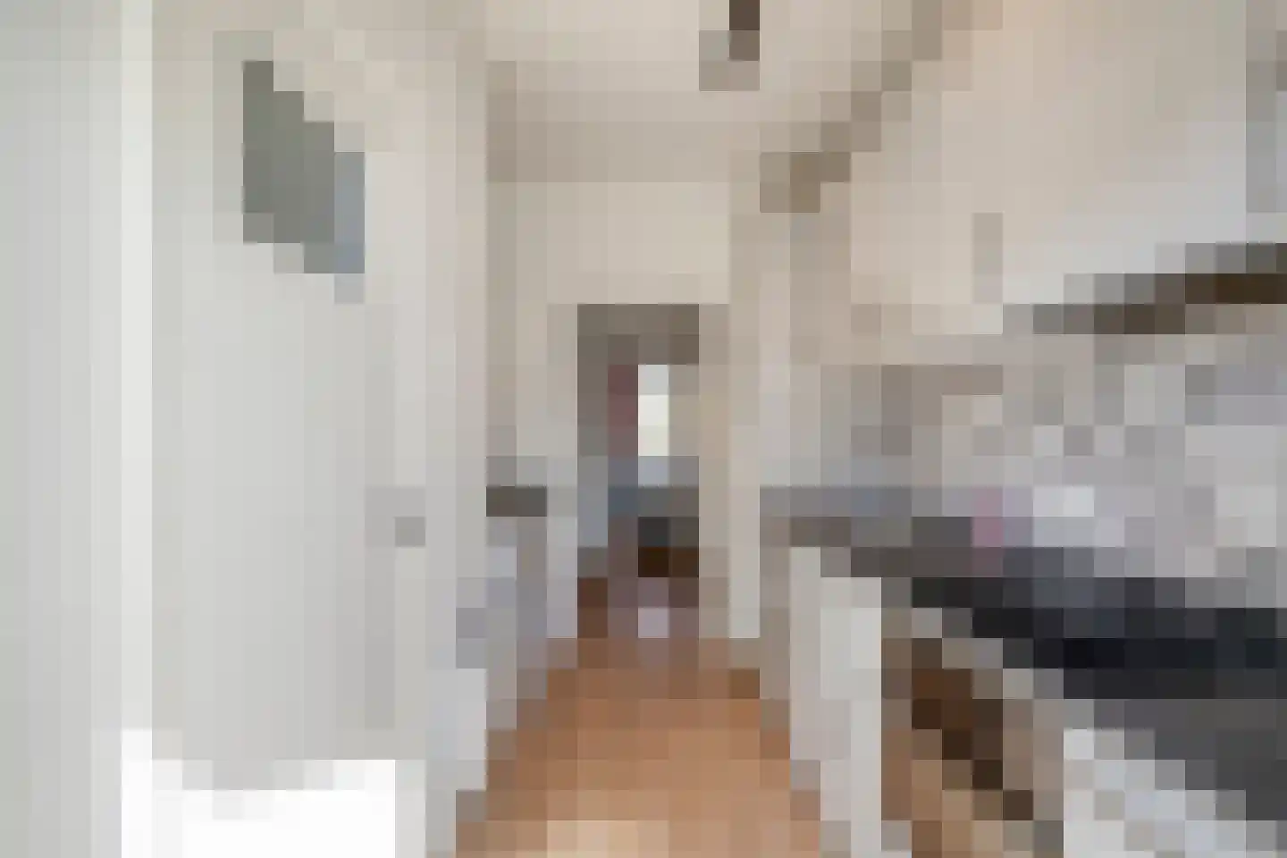 Karel de Grotelaan 227 Eindhoven thumbnail 28