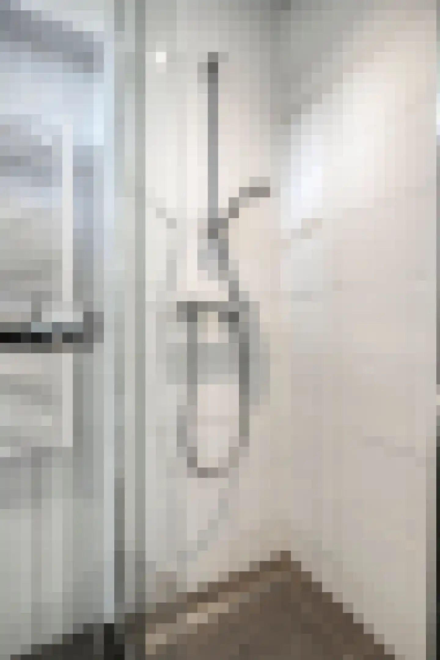 Karel de Grotelaan 227 Eindhoven thumbnail 33