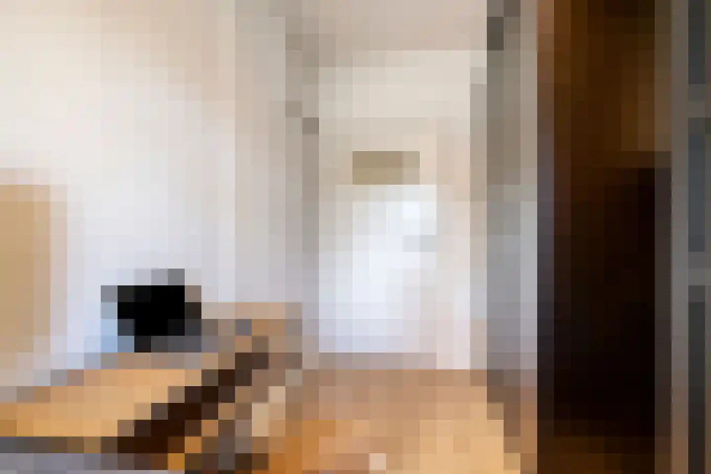 Karel de Grotelaan 227 Eindhoven thumbnail 37