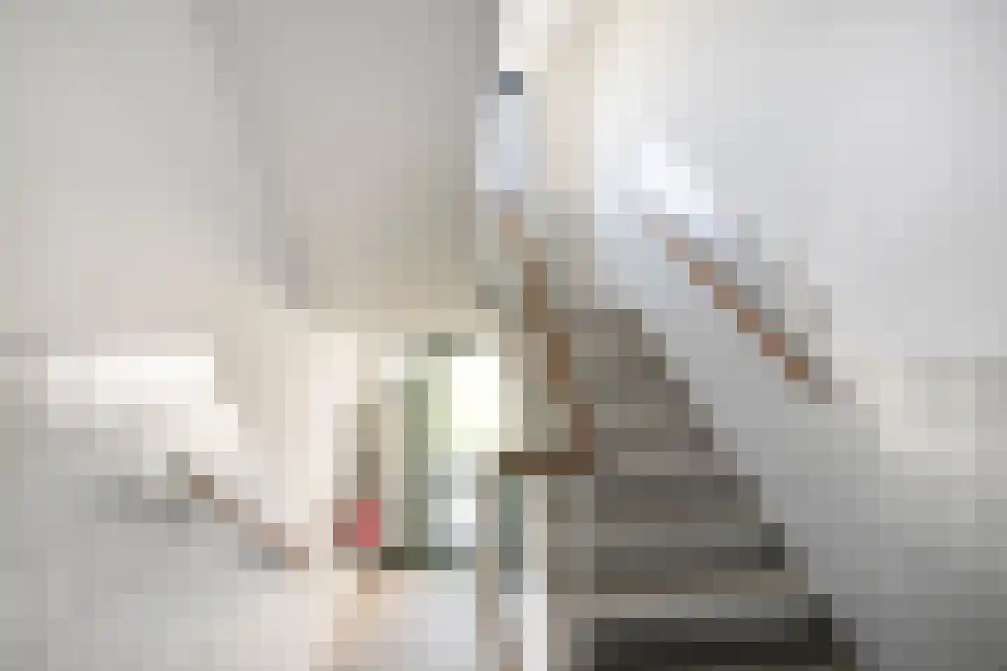 Karel de Grotelaan 227 Eindhoven thumbnail 9