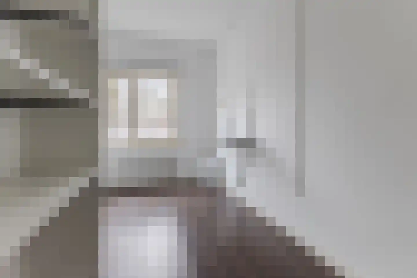Karel de Grotelaan 239 Eindhoven thumbnail 20