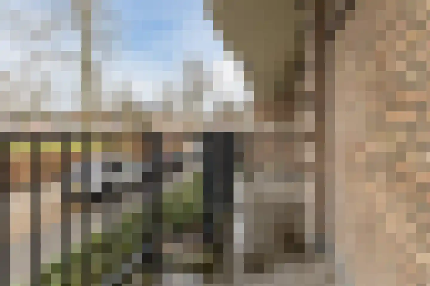 Karel de Grotelaan 239 Eindhoven thumbnail 23