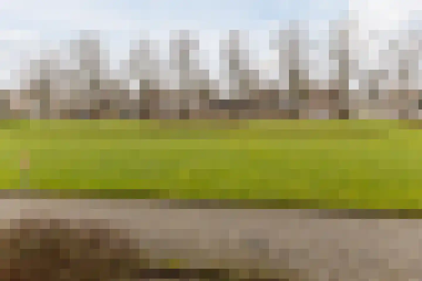 Karel de Grotelaan 239 Eindhoven thumbnail 28