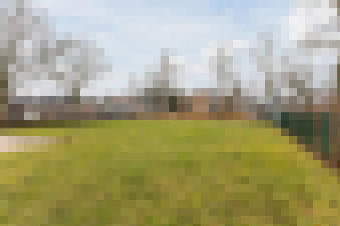 Karel de Grotelaan 239 Eindhoven thumbnail 33