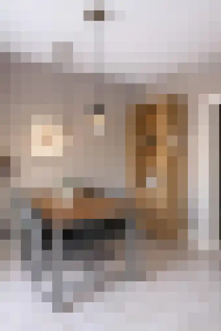 Karel de Grotelaan 243 Eindhoven thumbnail 10