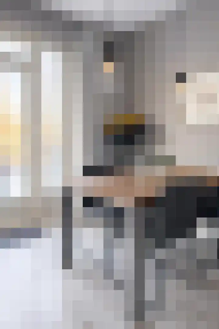 Karel de Grotelaan 243 Eindhoven thumbnail 12