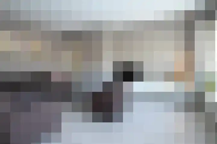 Karel de Grotelaan 243 Eindhoven thumbnail 14