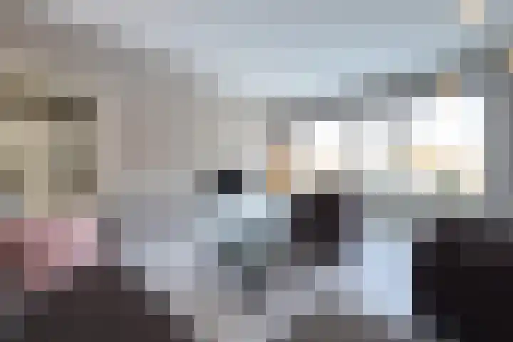 Karel de Grotelaan 243 Eindhoven thumbnail 15