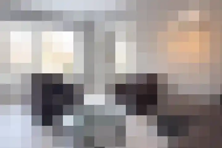 Karel de Grotelaan 243 Eindhoven thumbnail 16