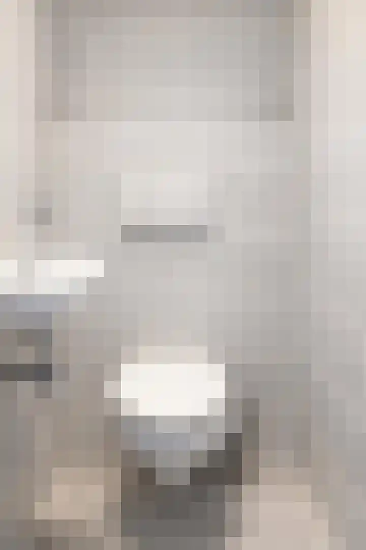 Karel de Grotelaan 243 Eindhoven thumbnail 17