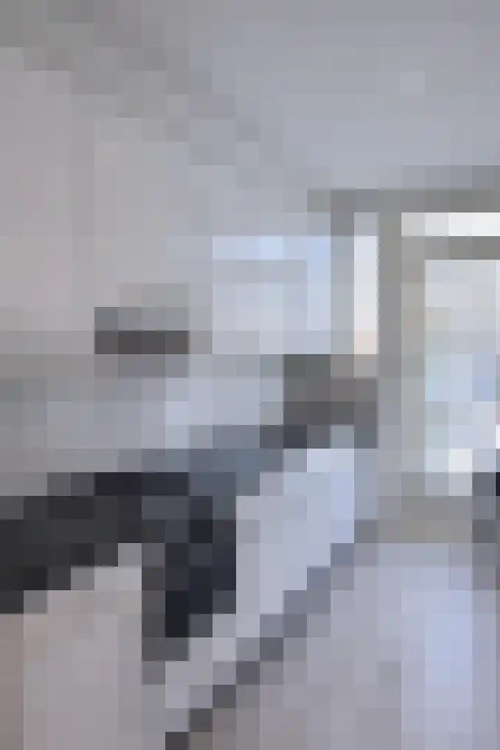 Karel de Grotelaan 243 Eindhoven thumbnail 18