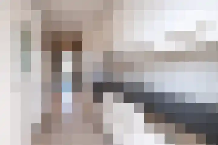 Karel de Grotelaan 243 Eindhoven thumbnail 20