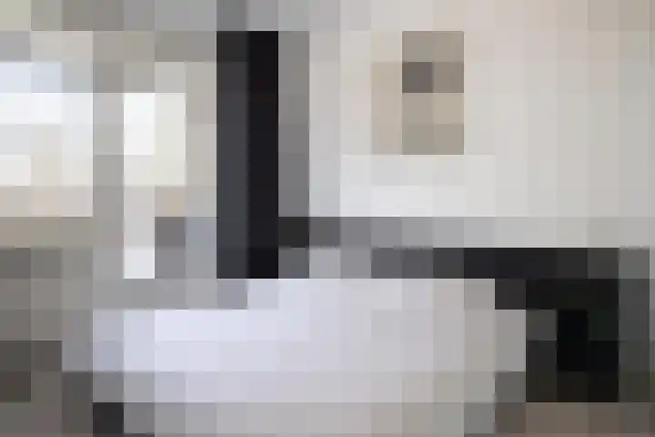 Karel de Grotelaan 243 Eindhoven thumbnail 21