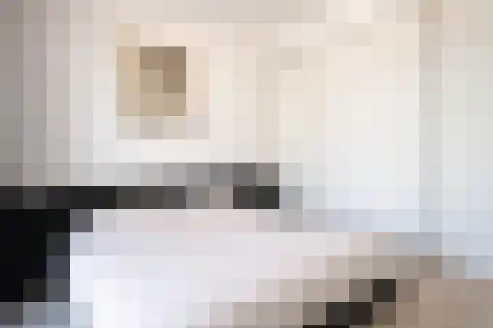 Karel de Grotelaan 243 Eindhoven thumbnail 22