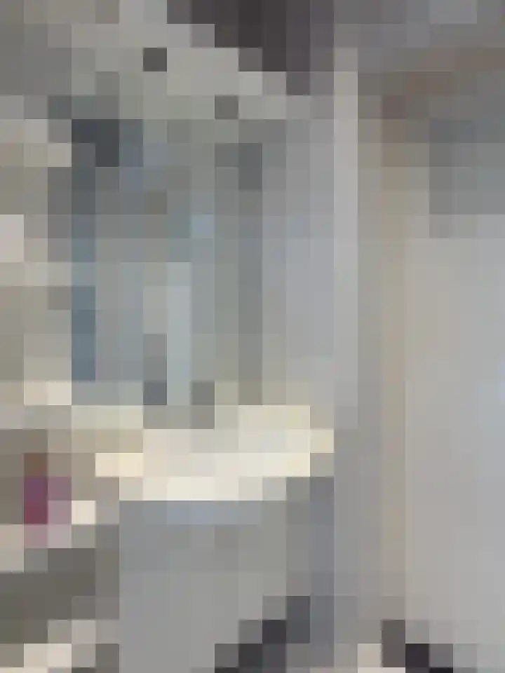 Karel de Grotelaan 243 Eindhoven thumbnail 23