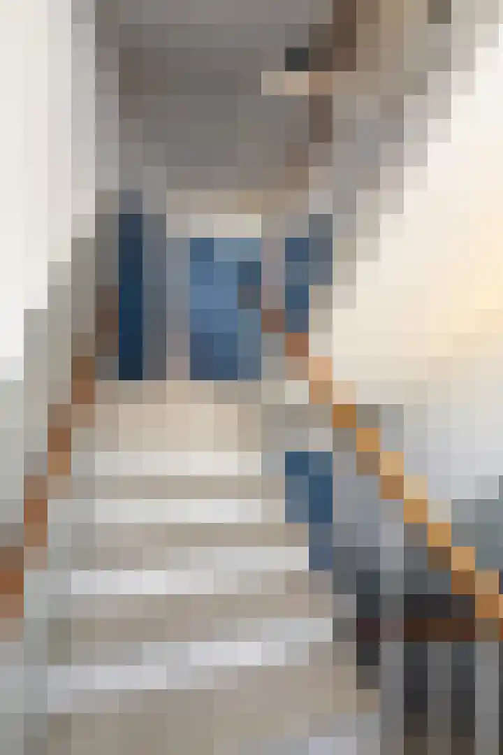 Karel de Grotelaan 243 Eindhoven thumbnail 5