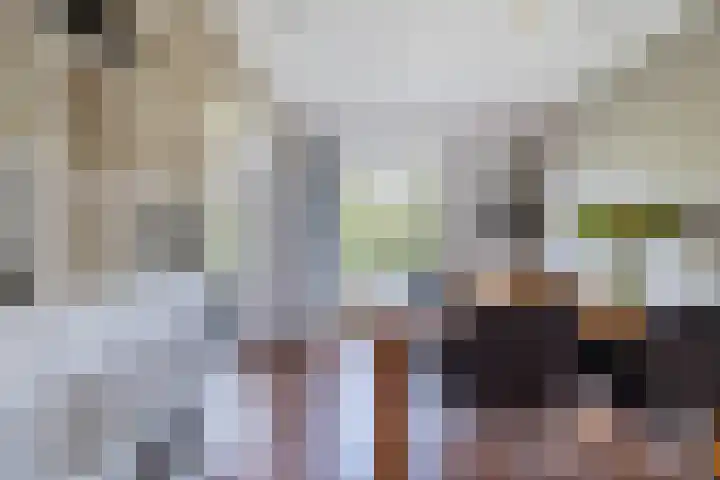 Karel de Grotelaan 247 Eindhoven thumbnail 10