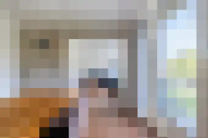 Karel de Grotelaan 247 Eindhoven thumbnail 11