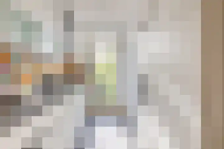 Karel de Grotelaan 247 Eindhoven thumbnail 12