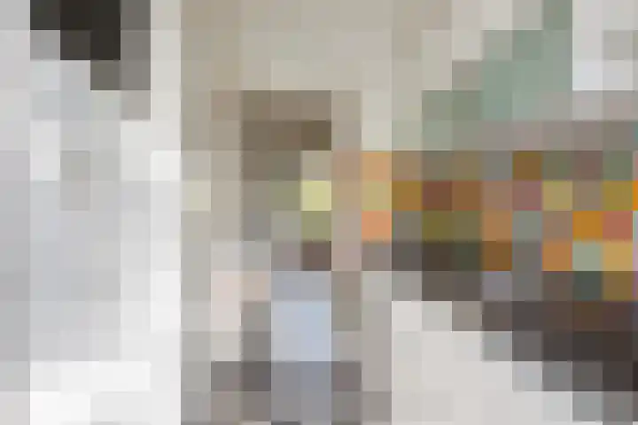Karel de Grotelaan 247 Eindhoven thumbnail 13
