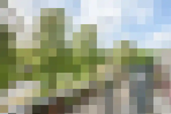 Karel de Grotelaan 247 Eindhoven thumbnail 16