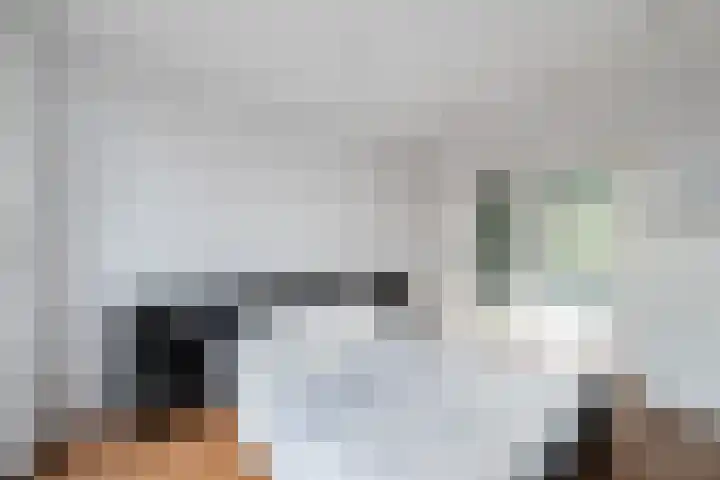 Karel de Grotelaan 247 Eindhoven thumbnail 17