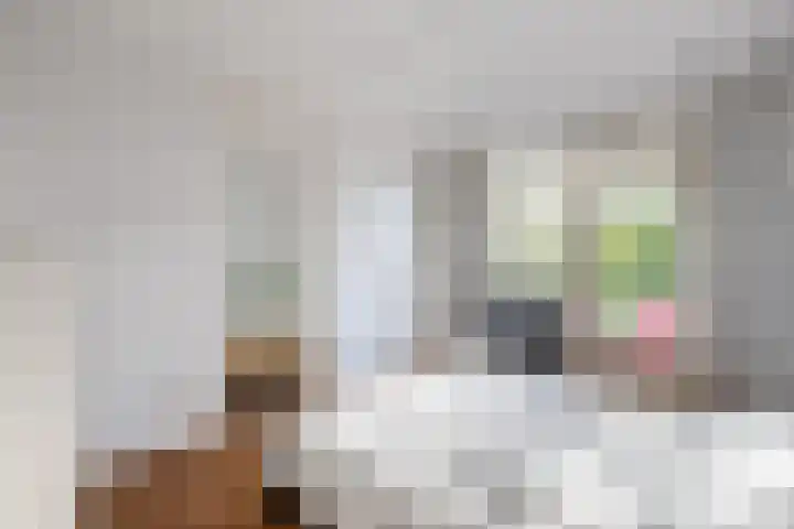 Karel de Grotelaan 247 Eindhoven thumbnail 18