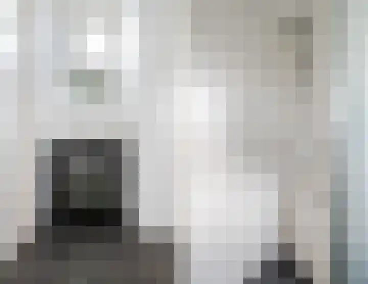 Karel de Grotelaan 247 Eindhoven thumbnail 19