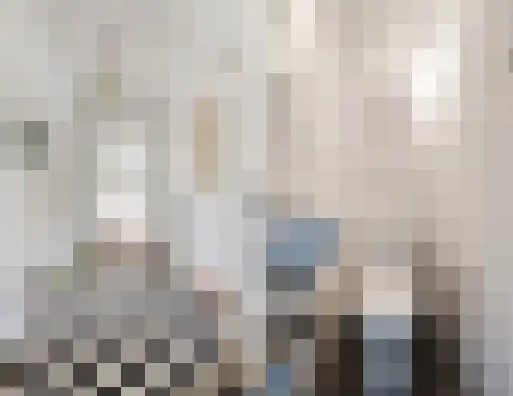 Karel de Grotelaan 247 Eindhoven thumbnail 22