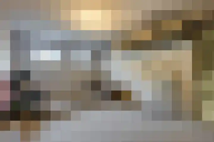 Karel de Grotelaan 247 Eindhoven thumbnail 24
