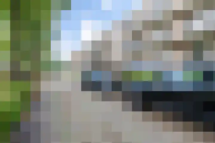 Karel de Grotelaan 247 Eindhoven thumbnail 25