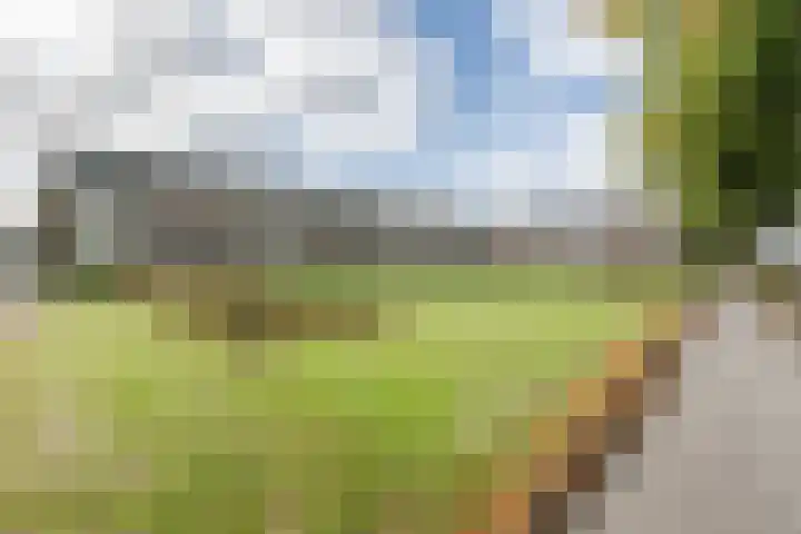 Karel de Grotelaan 247 Eindhoven thumbnail 27