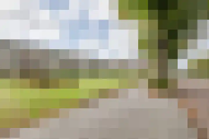 Karel de Grotelaan 247 Eindhoven thumbnail 28