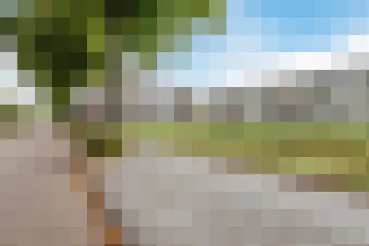 Karel de Grotelaan 247 Eindhoven thumbnail 29