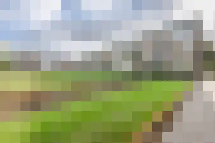 Karel de Grotelaan 247 Eindhoven thumbnail 30