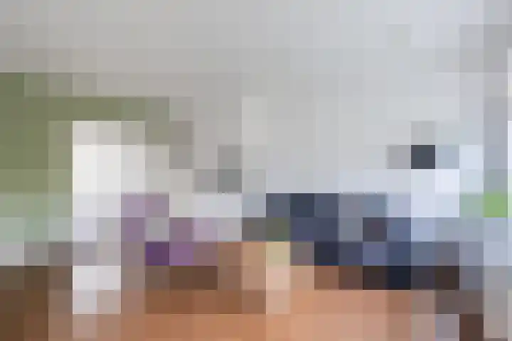 Karel de Grotelaan 247 Eindhoven thumbnail 6