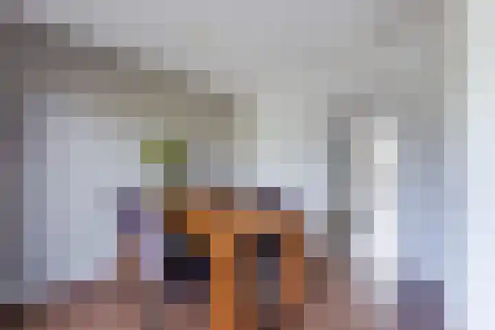Karel de Grotelaan 247 Eindhoven thumbnail 9