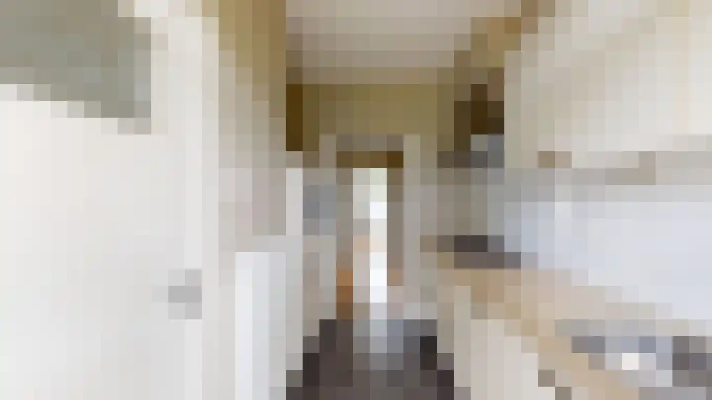 Karel de Grotelaan 263 Eindhoven thumbnail 11