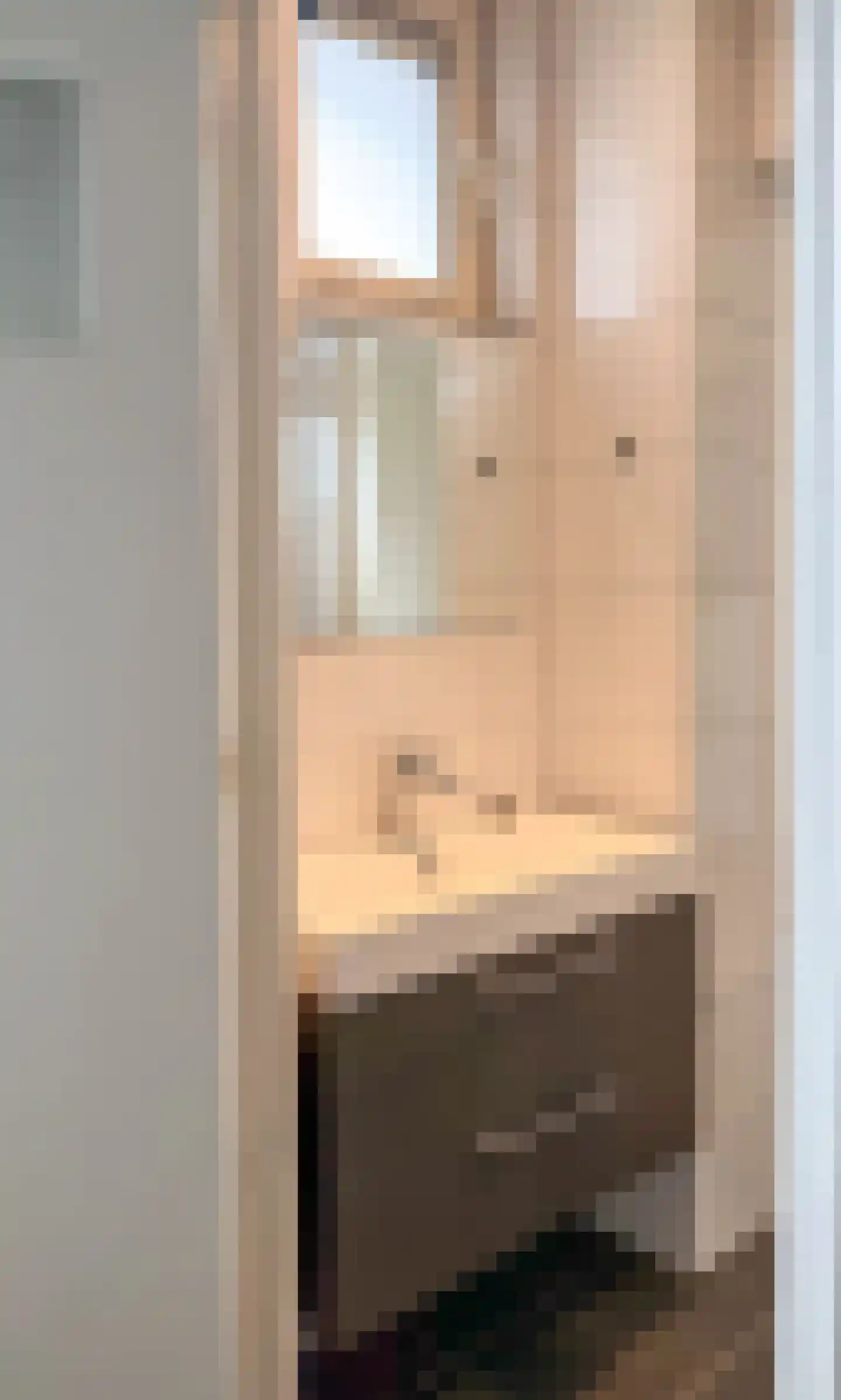 Karel de Grotelaan 263 Eindhoven thumbnail 18