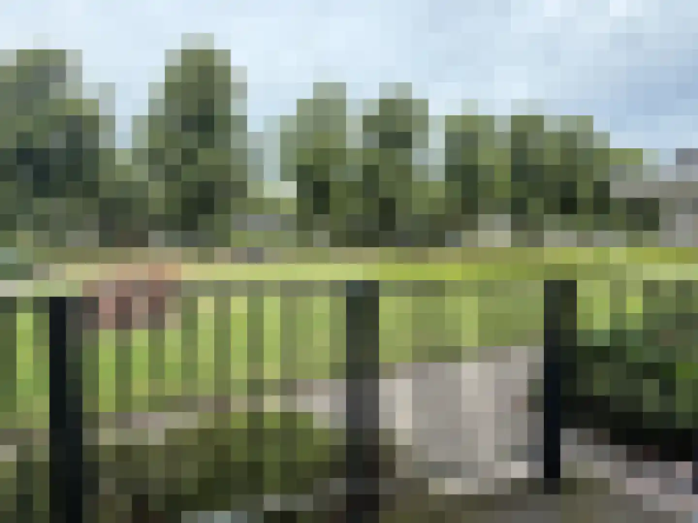 Karel de Grotelaan 263 Eindhoven thumbnail 20