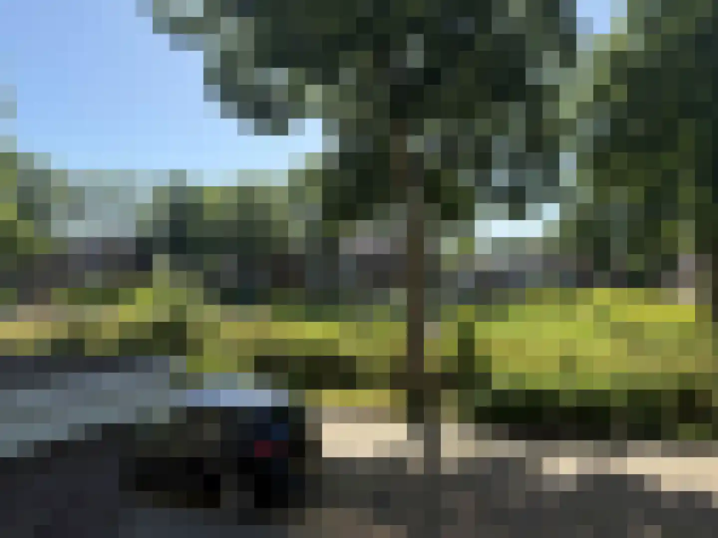 Karel de Grotelaan 263 Eindhoven thumbnail 25