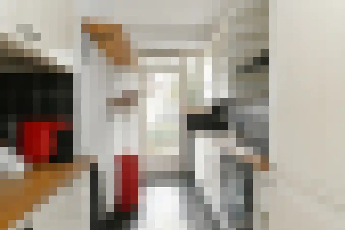 Karel de Grotelaan 273 Eindhoven thumbnail 14