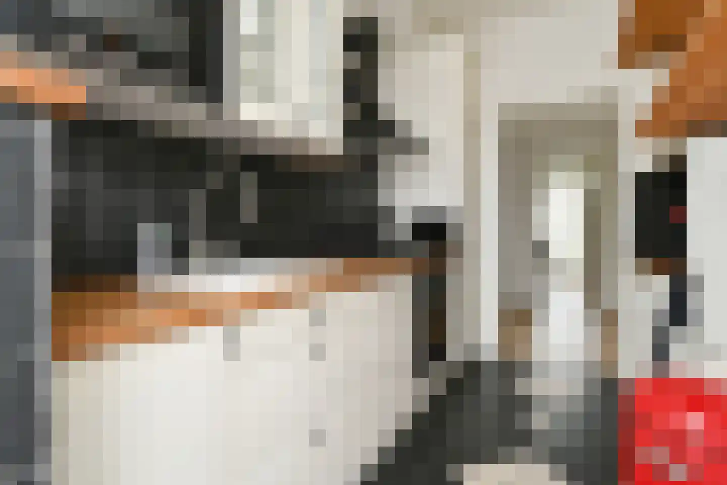 Karel de Grotelaan 273 Eindhoven thumbnail 15