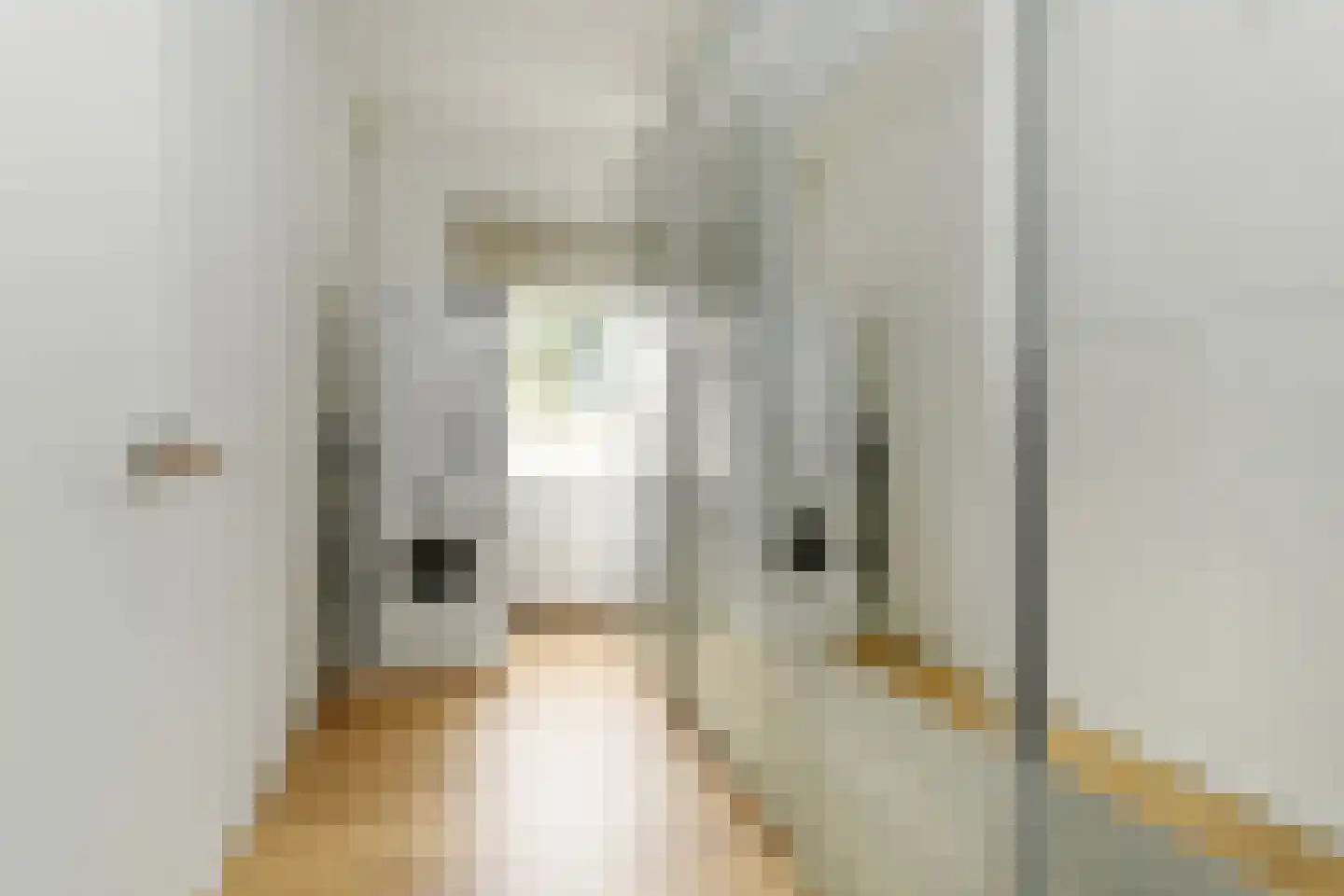 Karel de Grotelaan 273 Eindhoven thumbnail 22