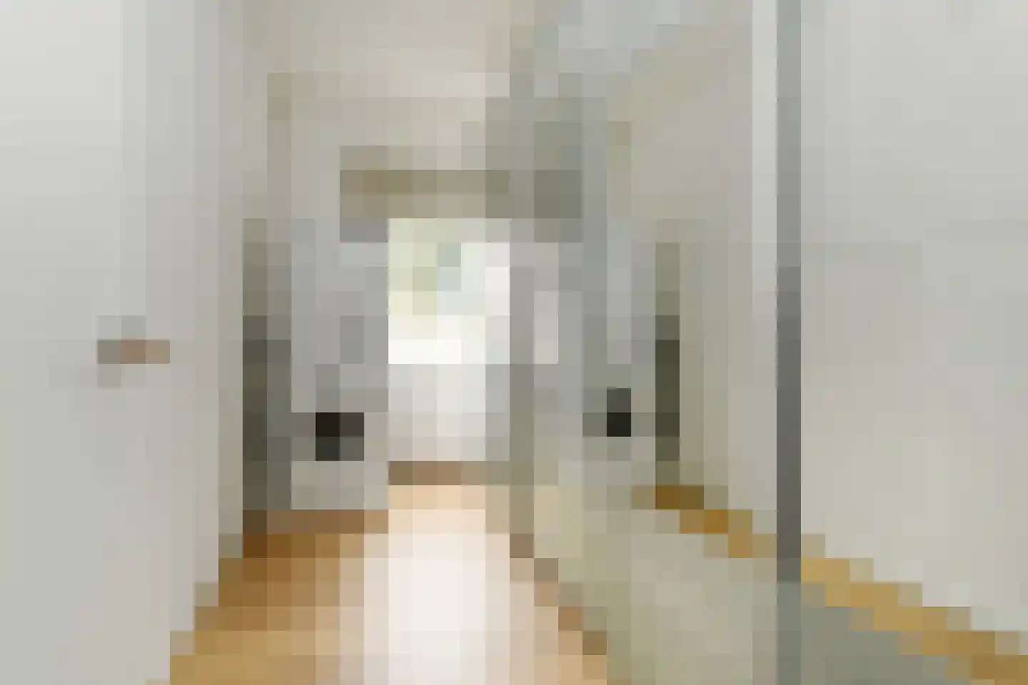 Karel de Grotelaan 273 Eindhoven thumbnail 22