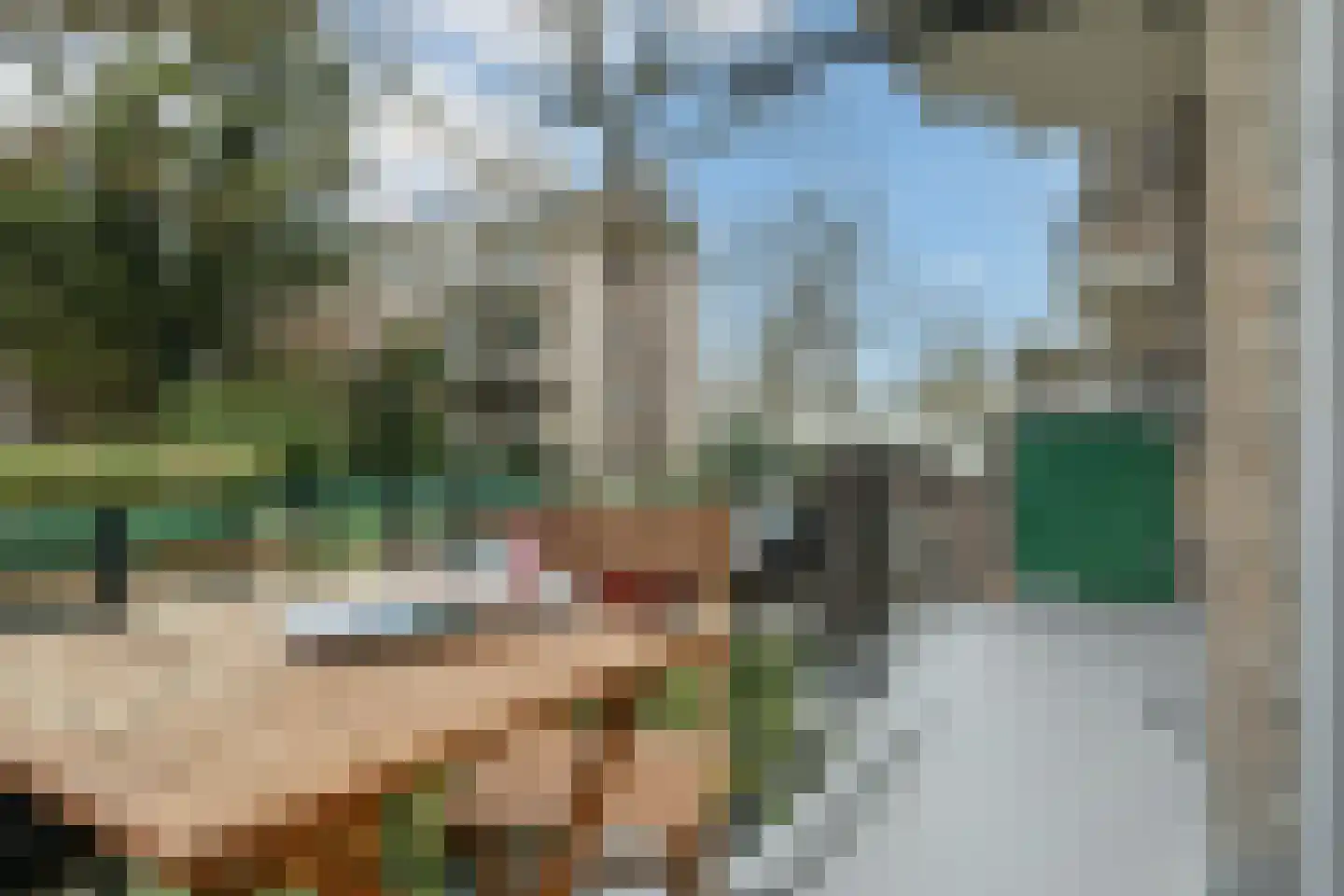 Karel de Grotelaan 273 Eindhoven thumbnail 4