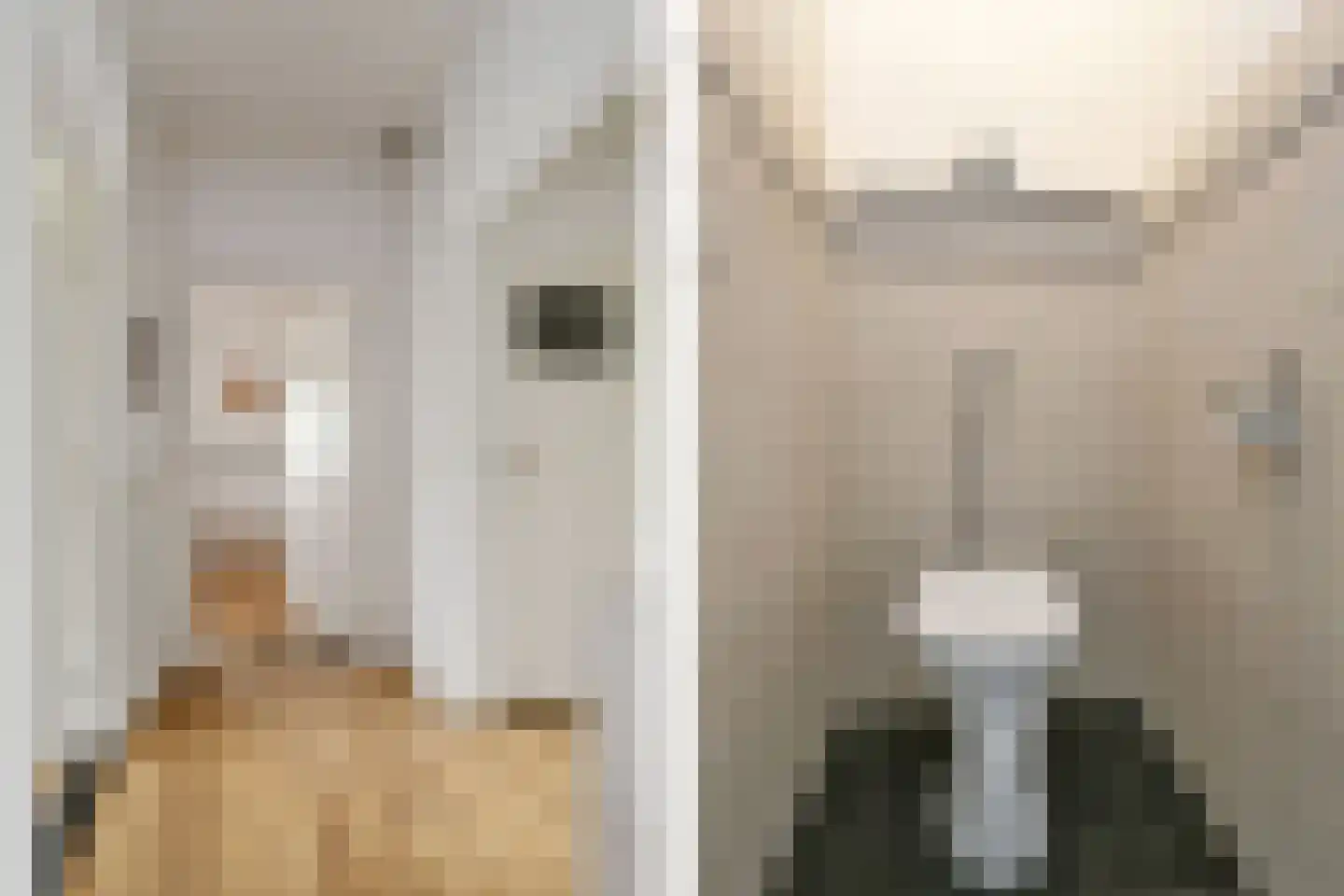Karel de Grotelaan 273 Eindhoven thumbnail 7