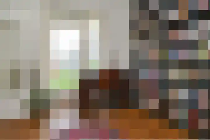 Karel de Grotelaan 275 Eindhoven thumbnail 12
