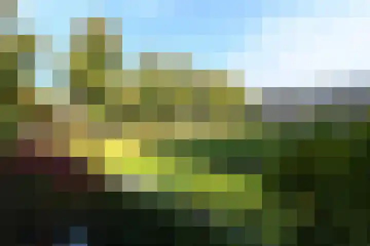 Karel de Grotelaan 275 Eindhoven thumbnail 13